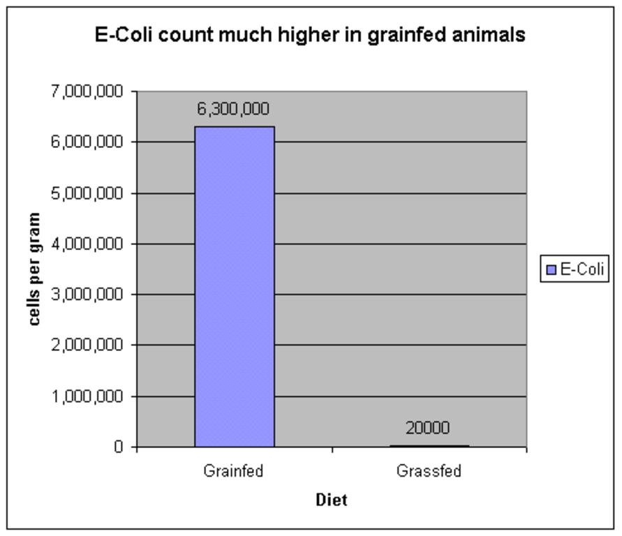 Gr_ecoli_count